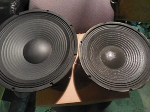 Sostituzione woofer 12 pollici 8 ohm NADY 300 watt RMS - Foto 1 di 4