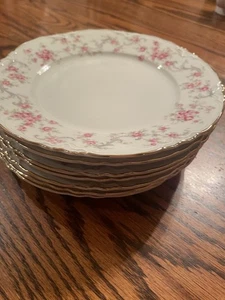 Hutschenreuther Selb Bavaria Pasco Salatteller 7 3/4" 7er Set rosa Rosen - Bild 1 von 8