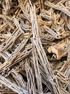 Gran Lote Piezas Brocas Cortadas Cholla Cactus Madera Acuario Masticable Artesanía 7 lb Plus - Imagen 1 de 3