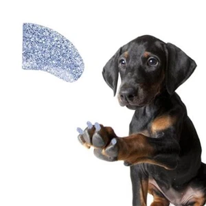 DIAMOND GLITTER ~ 60 PEZZI Tappi per unghie morbide per artigli CANE ~ BELLISSIMI ARTIGLI ~ Zampe - Foto 1 di 1
