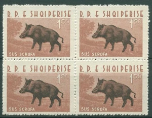 Albanien 1962 Tiere Wildschwein 701 4er-Block postfrisch - Bild 1 von 1
