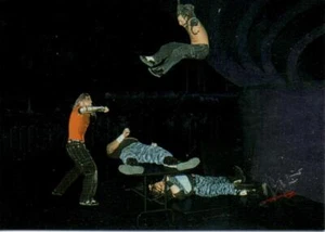 Tarjeta coleccionable de imagen cómica holograma de la WWE 1998 #14 NUEVA de Matt Jeff Hardy Dudly Boyz - Imagen 1 de 3