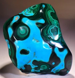 3,75 Zoll 1 Pfund 5,2 Unzen Top Vivid Chrysocolla mit Malachit, Kongo! CR354 - Bild 1 von 4