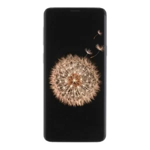 Samsung Galaxy S9 DuoS (G960F/DS) 64 GB gold Sehr guter Zustand ** - Bild 1 von 2