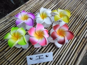 Frangipani Claw Hair Clips x packs 7cm or 10cm diameter medium to large - Foto 1 di 34