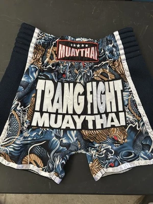 FAIRTEX Muay Thai Kickboxing MMA UFC Fighting Gym Sport Shorts - Size XL - Image 1 of 4