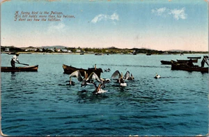 Tarjeta postal de A Funny Bird is a Pelícan Poema Lake with Boats - Imagen 1 de 2