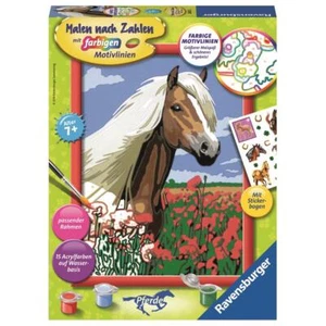 Ravensburger Malen nach Zahlen Haflinger | MnZ Pferde Malset ab 7 Jahre - Bild 1 von 2