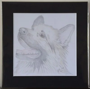 German Shepherd / Alsatian Mounted Original Drawing or Mounted Print 3 designs - Picture 1 of 9