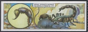 TYPHOO (TEA)-ANIMAL OFFENCE & DEFENCE 1928-#17- SCORPION  - Picture 1 of 2