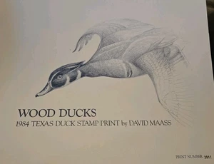 1984 Texas Wood Ducks Print and Stamp by David Maass - Picture 1 of 5
