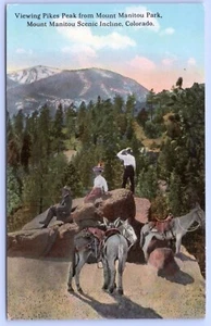 Postal c1910 Donkeys Pikes Peak Mount Manition Park Denver Colorado #C14 - Imagen 1 de 2