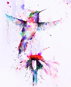 Beautiful Hummingbird CANVAS ART PRINT water colour poster 36x24" - Picture 1 of 1