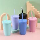 Frosted Double-layer Straw Cup Coffee Bottle Handy Water Cup Straw Kettle