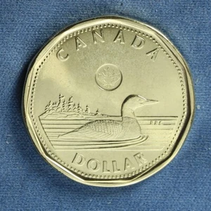 Canada 2017 Loonie (One Dollar) from a Mint Roll - Classic Loon Reverse - Picture 1 of 3