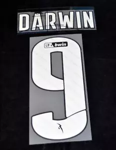 Official benfica Darwin 9 Football Name/Name Home 2021/22 Primeira Liga badge - Picture 1 of 1