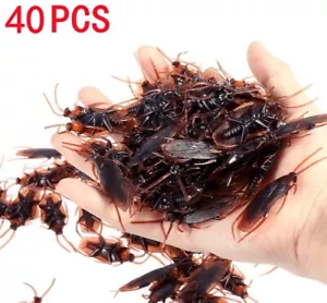 Realistic Rubber Fake Cockroaches Creepy Cock Roach Bugs Prank Gag Gifts 40pcs - Picture 1 of 11