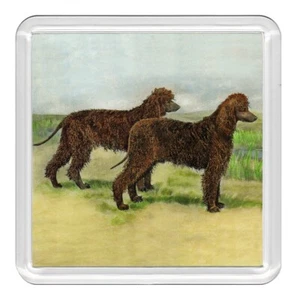 Irish Water Spaniel Dogs Dog Acrylic Coaster Novelty Drink Cup Mat Great Gift - Picture 1 of 1