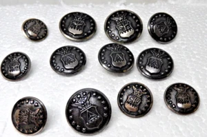 { 12 Vintage Waterbury US Air Force Uniform Button - Military... - Picture 1 of 2