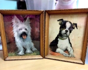 VINTAGE SELTENES SET HUNDEDRUCKE FLORENCE KROGER - WESTIE & BOSTON TERRIER 7X6 1950ERer - Bild 1 von 10