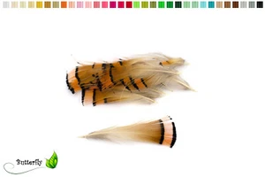 20 Goldfasan Federn ca. 4-8cm orange Bastelfedern Schmuckfedern Dekofedern Fasan - Bild 1 von 1
