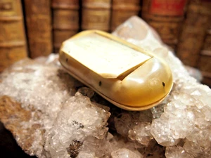 TABATIERE aus blondem Horn um 1880 - Bild 1 von 3