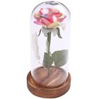 Eternal Rose Flower In Glass Dome With Led Light Wooden Base Chrif2