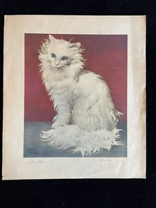 Framed Carter Ink Company “Carters Kitten” Albert Staehle 11” X 15” - Picture 1 of 9