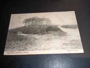 Staple Hill, Chobham Common, Nr WOKING, Surrey - Bild 1 von 2