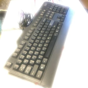 IBM THINKCENTRE PREFERRED PRO KB-0225 PS/2 KEYBOARD BLACK Gray Wired 32P5100 - Picture 1 of 8
