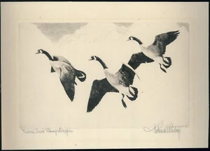 RW3 1936 FEDERAL DUCK STAMP PRINT CANADA GOOSE by Bishop 1st ed $1800+ - Picture 1 of 1
