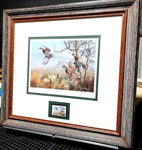 David Maass 1990 Texas Wachtel Briefmarkendruck mit Stempel First of Series - neuer Rahmen - Bild 1 von 7