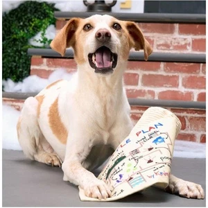 BARK Home Alone Battle Plan Scroll Plush Dog Toy Squeaker Crinkle Thrash Play - Picture 1 of 7
