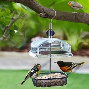 Hanging Wild Bird Feeder Station Height Adjustable Baffle Dome Peanut Seed Feed - Picture 1 of 6
