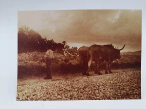 Foto Riproduzione Primi '900 Al lavoro nei campi - Picture 1 of 1