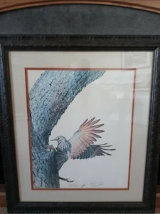 Guy Coheleach "Red Shafted Flicker" signierter, mattierter & gerahmter Litho-Druck 26,5x23" - Bild 1 von 6