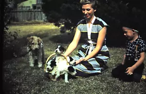 1950's Red Border Slide, Lady & Son in Period Clothing with Puppies in Basket - Picture 1 of 1