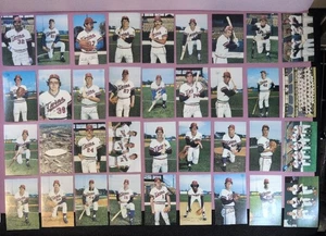 1983 Park Press Minnesota Twins Baseball Player Postcard Set of 36 - Picture 1 of 8