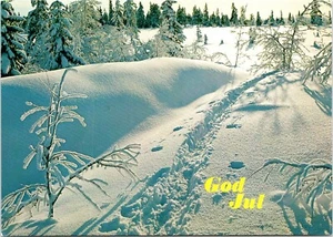 Postal noruega Huellas en nieve Feliz Navidad Dios julio - Imagen 1 de 2