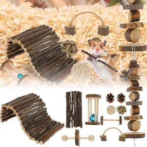 Hamster Toys Set Natural Wood Guinea Pig Toys Teeth Caring Hamster Chewing Toy·~ - Picture 1 of 11