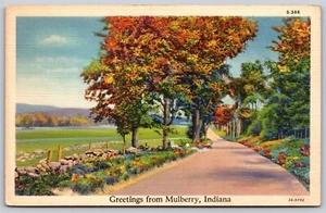 Cartolina Saluti da Mulberry, lino Indiana B142 - Foto 1 di 2
