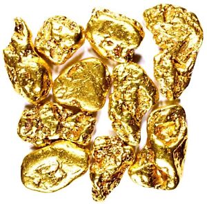 50 PIECE LOT ALASKAN YUKON BC NATURAL PURE GOLD NUGGETS (#L250)