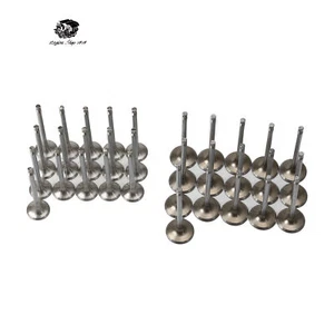 32x Intake & Exhaust Valve Kit Fit For Audi A6 A8 TOUAREG CEUC CTGE 4.0T STD - Picture 1 of 9