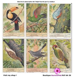 LES OISEAUX GRIMPEURS, ORNITHOLOGIE, LOT 6 CHROMOS -AA26 - Imagen 1 de 2