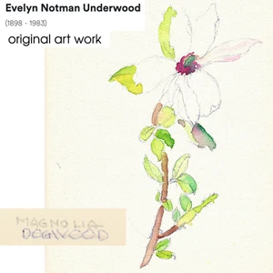 Años 30 ACUARELA E NOTMAN UNDERWOOD East Aurora NY MAGNOLIA UNDD Flor ORIGINAL - Imagen 1 de 3