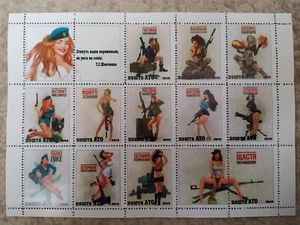 Ukraine Pin Up Streitkräfte Ukrainische Armee - Bild 1 von 1