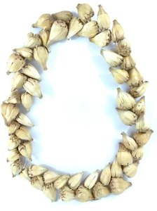 Traditional Natural Red Ula Fala Necklace Formal Occasions Handmade Necklace 100 - Picture 1 of 16