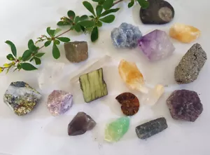 Natural Raw CRYSTAL & FOSSIL SPECIMENS Huge Choice Healing Reiki Gemstones Rough - Picture 1 of 21