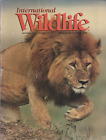 International Wildlife Magazine Sept Oct 1995 Lion Kenya Masai Mara