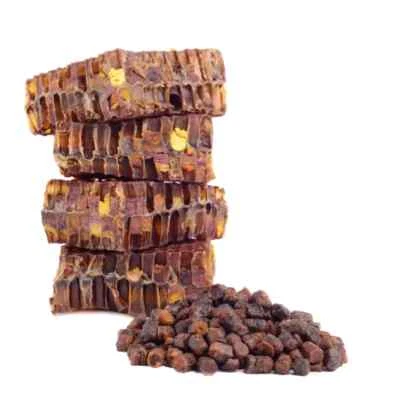 Pão de abelha natural fresco orgânico ambrosia perga de 2024 pólen / 3,5 oz (110 g) - Imagem 1 de 3